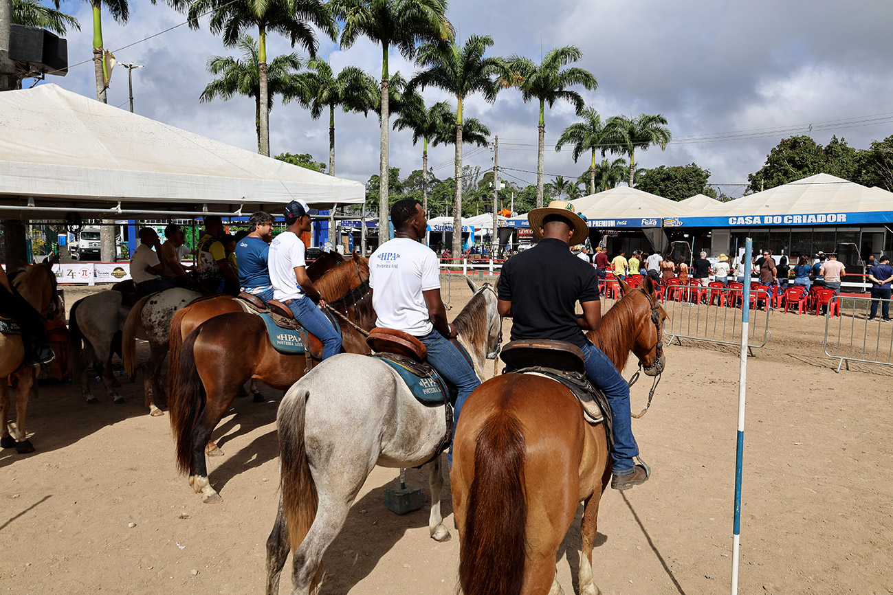 Foto: Reprodução/Prefeitura de Feira de Santana - BA